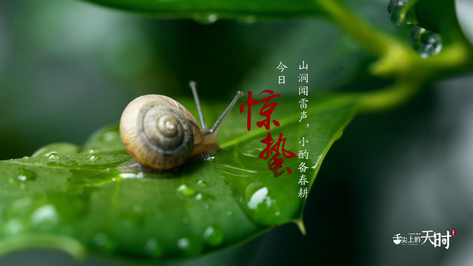 &#108;&#101;&#121;&#117;&#46;&#20048;&#40060;&#40;&#38598;&#22242;&#41;&#20307;&#32946;&#45;&#31185;&#25216;&#32929;&#20221;&#26377;&#38480;&#20844;&#21496;&#32593;&#31449;
